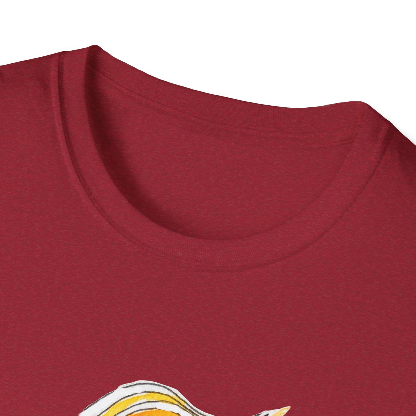 Colorful Owls Softstyle T-Shirt - The Song Maker